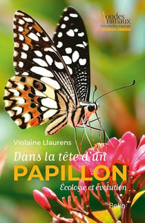 Dans la tête d'un papillon