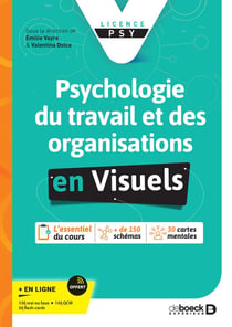 Psychologie du travail et des organisations en visuels : Les fondamentaux en visuels (licence)