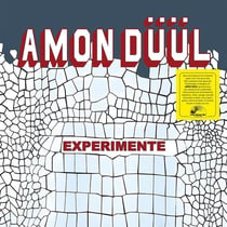 Experimente