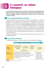 Réussir le CAP AEPE : Accompagnant éducatif petite enfance - Prévention Santé Environnement
