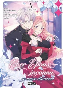 Cher époux inconnu, je veux divorcer Tome 5