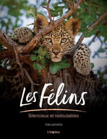 Les féins : Silencieux et redoutables
