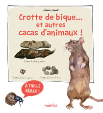Crotte de bique... et autres cacas d'animaux : Découvre les crottes d'animaux en taille réelle