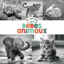 Mon imagier photos : Les bébés animaux