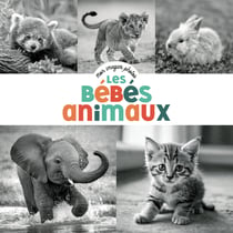 Mon imagier photos : Les bébés animaux