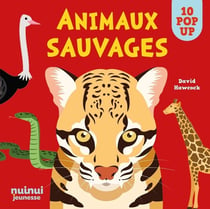 Saisissants pop-up : Animaux sauvages