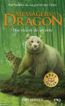 Les messagers du dragon - cycle 1 Tome 2 : Une rivière de secrets