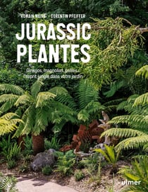 Jurassic Plantes : Composer son jardin luxuriant