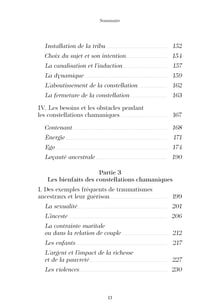 Constellation chamanique et guérison ancestrale : D'un passé hanté à un futur créatif