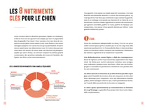 Que mettre dans la gamelle de mon chien ? Tout savoir sur la nutrition canine pour faire les bons choix