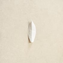 The Complexity Of The Simple