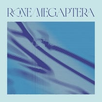 Megaptera
