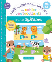 Je colle et j'apprends avec Larousse : GS - Mon cahier autocollants : Spécial Syllabes