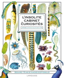 Insolite cabinet de curiosité Larousse