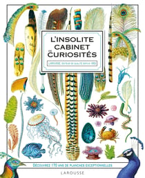 L'insolite cabinet de curiosités Larousse