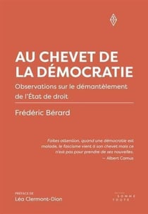 Au chevet de la democratie. observations sur le demantelement de