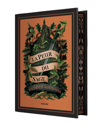 Chronique du Tueur de Roi, T2 : La Peur du Sage
