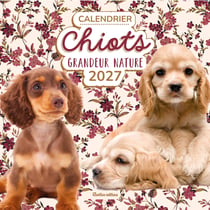 Calendrier chiots grandeur nature (édition 2027)
