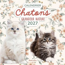 Calendrier chatons grandeur nature (édition 2027)