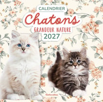 Calendrier chatons grandeur nature (édition 2027)