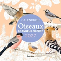 Calendrier Oiseaux grandeur nature (édition 2027)