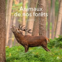 Animaux de nos forêts : Calendrier (édition 2027)