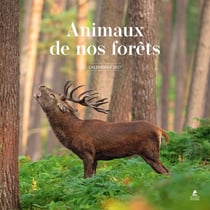 Calendrier 2027 animaux de nos forêts