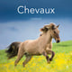 Chevaux : Calendrier (édition 2027)