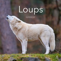 Loups : Calendrier (édition 2027)