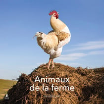 Animaux de la ferme : Calendrier (édition 2027)