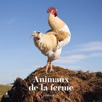 Calendrier 2027 animaux de la ferme