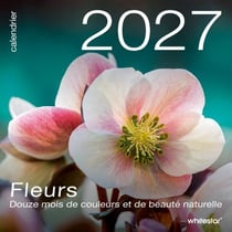 Calendrier mural : Fleurs (édition 2027)