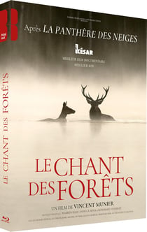 Le Chant des forêts