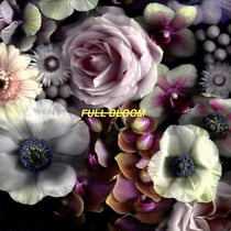Full Bloom