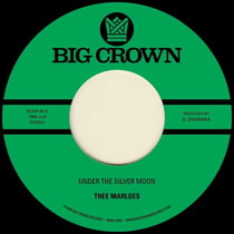 Under The Silver Moon + Through The Changes