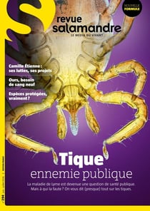 La salamandre n.294 : Juin 2026