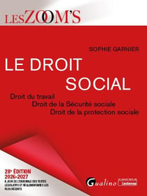 Le droit social : Droit du travail - Droit de la Sécurité sociale - Droit de la protection sociale Véritable outil de travail pour apprendre et maîtriser les règles du droit social (édition 2026/2027)