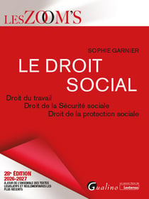 Le droit social : Droit du travail : Droit de la Sécurité sociale - Droit de la protection sociale Véritable outil de travail pour apprendre et maîtriser les règles du droit social (édition 2026/2027)