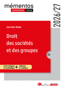 Droit des sociétés et des groupes