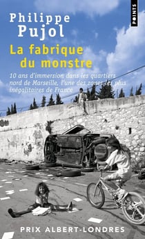 La fabrique du monstre - 10 ans d'immersion dans les quartiers nord de Marseille