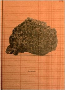 Arturo hernandez alcazar escombro /anglais
