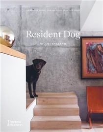 Resident dog incredible homes and the dogs that live there
