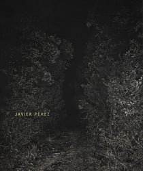 Javier perez /anglais/espagnol