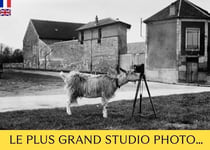 Le plus grand studio photo qui tient dans la poche - illustrations, couleur
