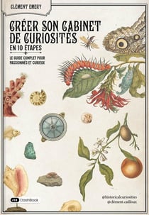 Créer son cabinet de curiosités en 10 étapes : Le guide complet pour passionnés et curieux