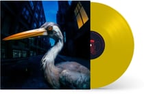 Decoding Birdsong - Vinyle