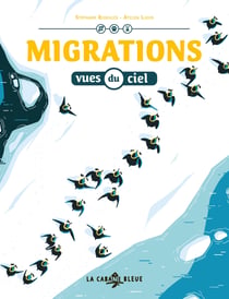 Migrations vues du ciel
