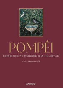 Pompéi : Histoire, art et vie quotidienne de la cité ensevelie