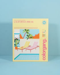 Peinture par numéro Color Gang - California break