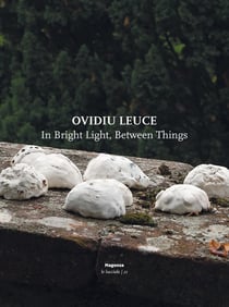 Magonza na 150 : ovidiu leuce. in bright light, between things (it-eng)
